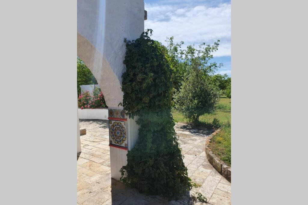 Trulli Relax A Martina Franca Villa Buitenkant foto